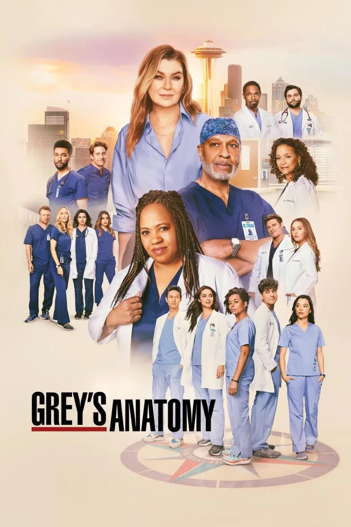 Season 21 - Grey's Anatomy (2005 TV Series)